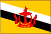 national flag（Brunei）